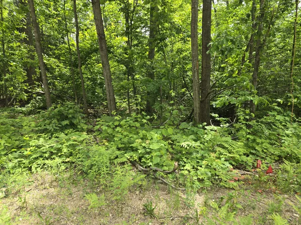 63 Sugar Bush Dr, Gaylord, MI 49735