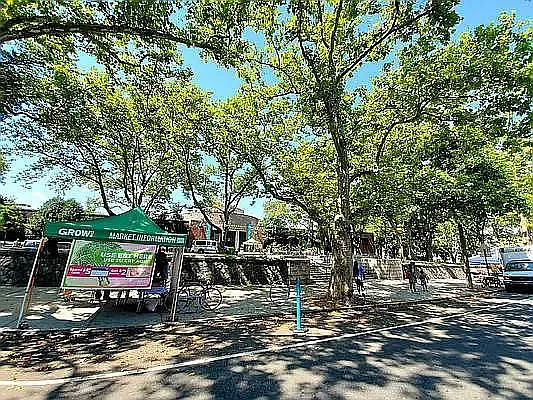 Rented by Brooklyn Property Group LLC | media 54