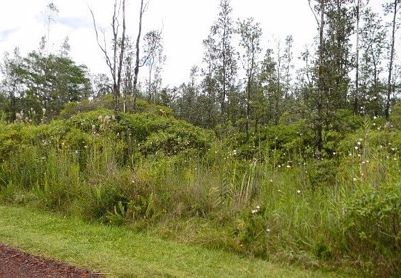 3rd image of Pukalani Dr Lot 28