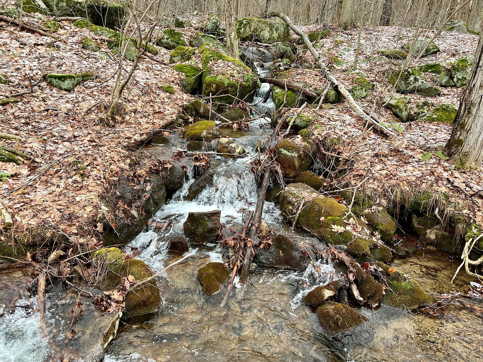 0 Grimm Rd, Normalville, PA 15469 MLS 11275475 Zillow