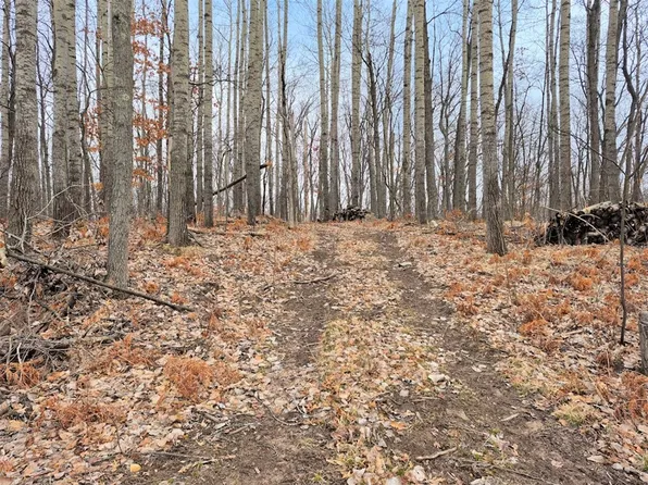 0 Town Hall Road, Springbrook, WI 54875