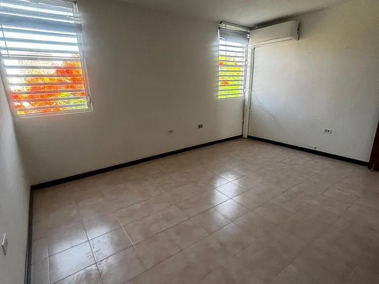 163 Villamil #4D — Photo 13