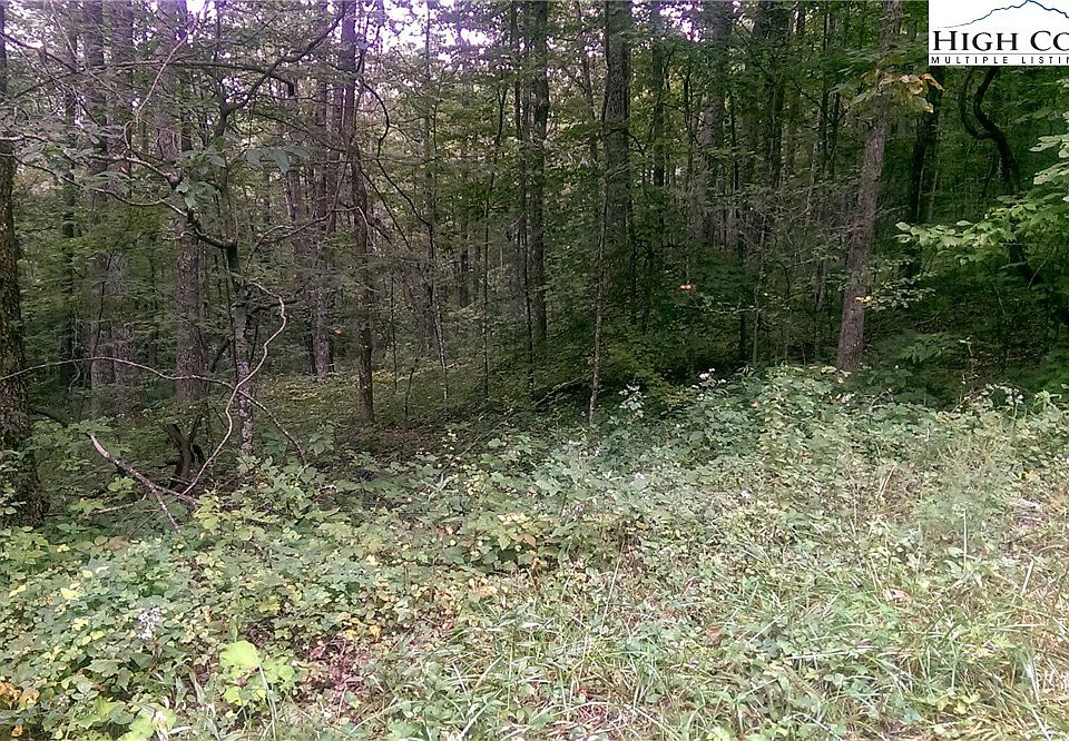 2nd image of Lot #40 Mountain High Road