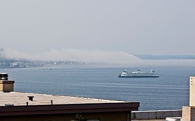 View from Deck
