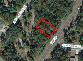 0 Bay Rd #13, Ocklawaha, FL 32179