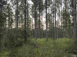 LOT 1 Wallace Lake Rd, Milton, FL 32571