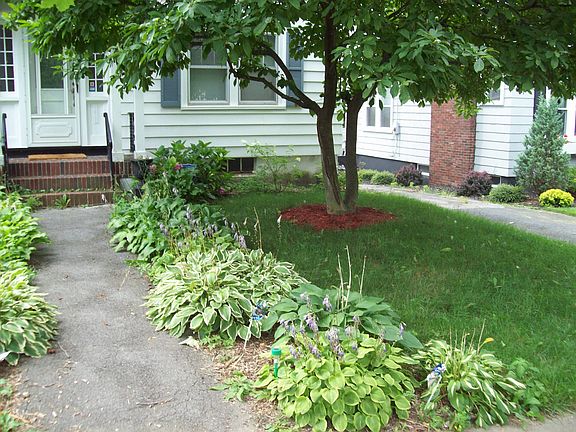 3rd image of 316 Scott Ave