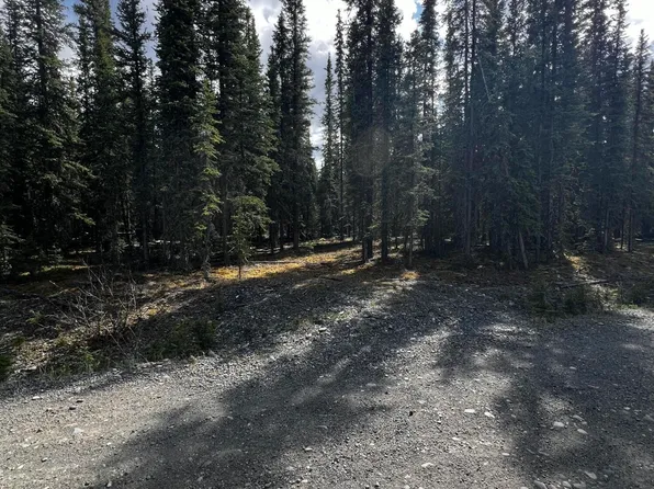 1H Alaska Hwy, Tok, AK 99780