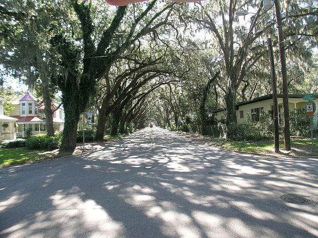 1st image of 35 Magnolia Ave