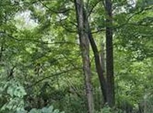 0 Bishop Ln, Mill Spring, NC 28756