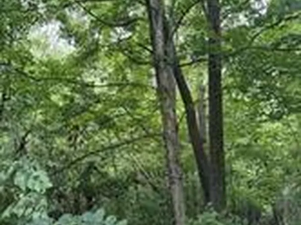 0 Bishop Ln, Mill Spring, NC 28756