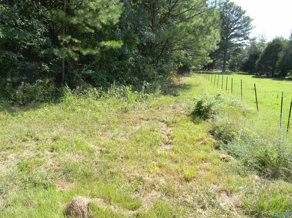 Track 1 2 County Rd #143, Cedar Bluff, AL 35959