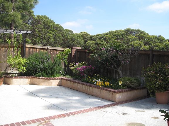 Back Patio