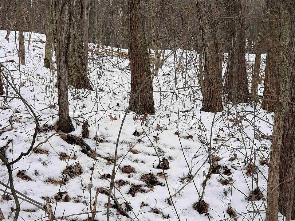 2nd image of W Nevada Mills Rd
