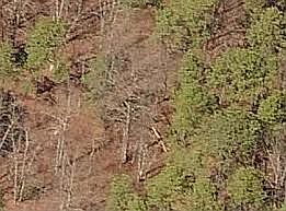 1st image of 6270 Klondyke Ave