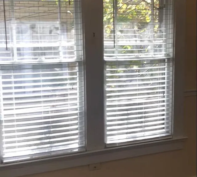 Lots of good sized windows.