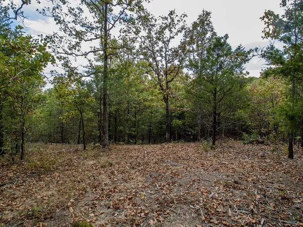 43 County Road 1420, Mountain Home, AR 72653