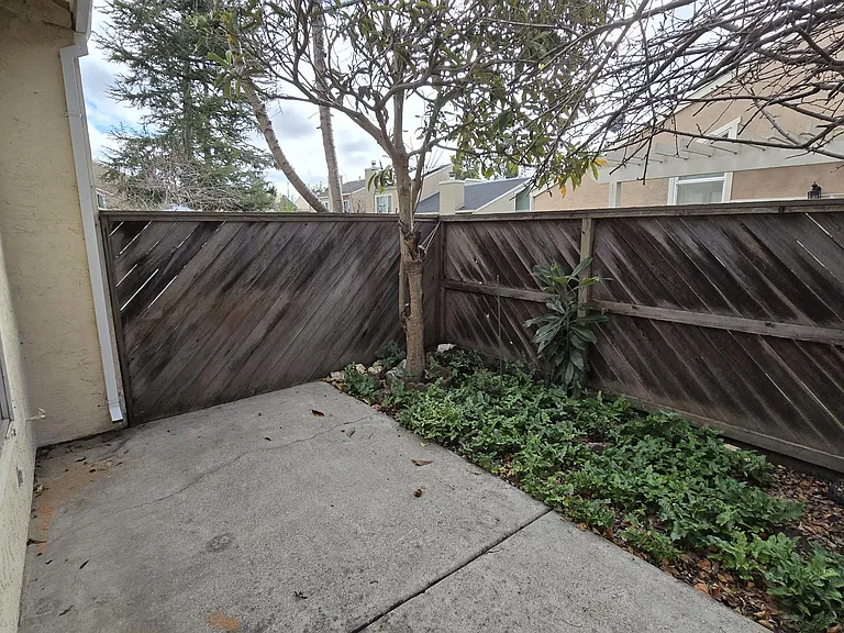 27703 Persimmon Dr — Photo 20