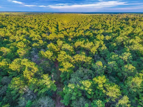 End Of Cres #112, Devers, TX 77538