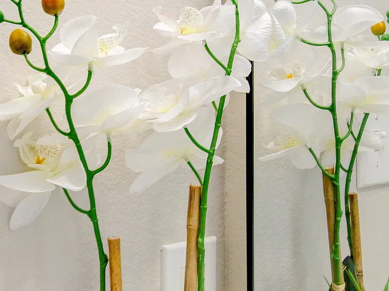 cozy decoration