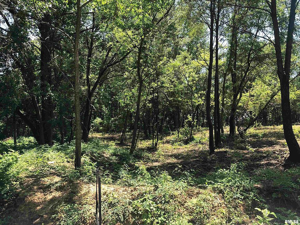 2nd image of LOT 2 W McKee Rd