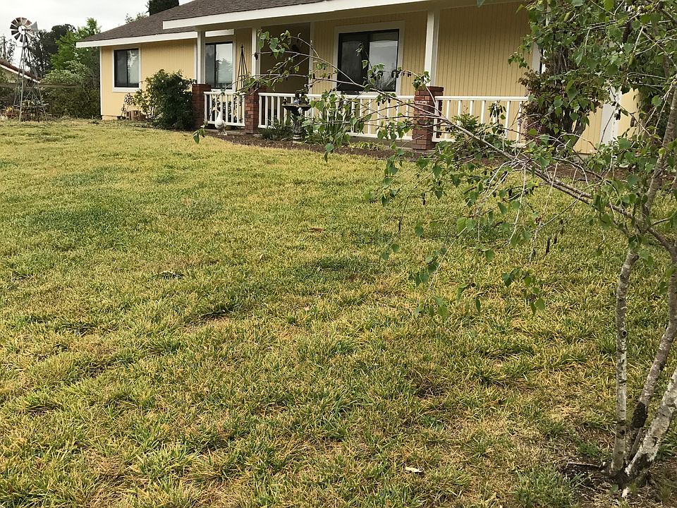2nd image of 882 Peggy Lee Ct