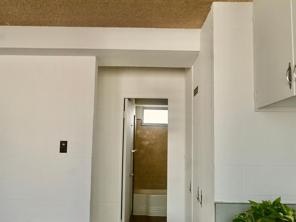 Hallway (into Bathroom)