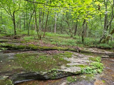 775 Coaling Rd, Charlotte, TN, 37036