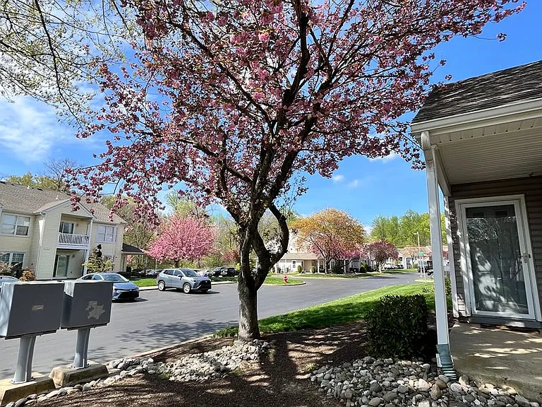 3301 Atkinson Pl — Photo 3