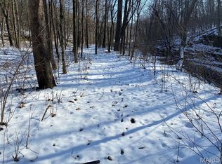 29507 Pinnacle Lake Rd, New Florence, MO 63363