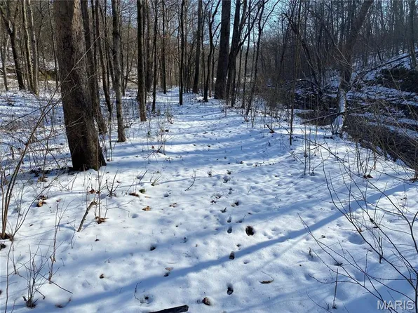 29507 Pinnacle Lake Rd, New Florence, MO 63363