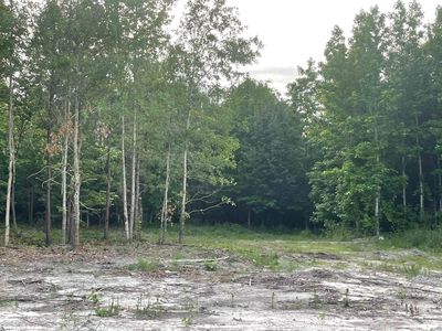 0 Conner Rd LOT 5, Hodges, SC, 29653