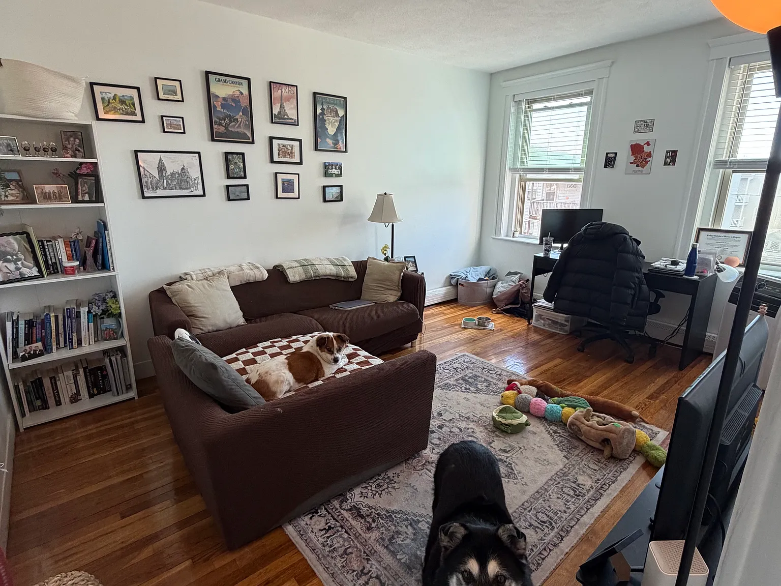 1 bed, 598 sqft, $2,600 — Photo 4