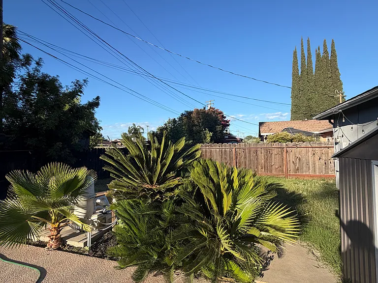 5049 Driftwood Dr — Photo 12