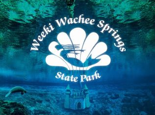 16007 Magdalena Rd, Weeki Wachee, FL 34614