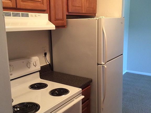 Stove & Fridge