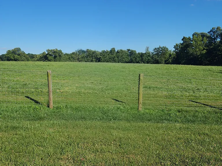 View from back yard