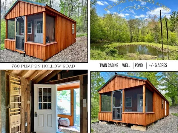 780 Pumpkin Hollow Rd, East Meredith, NY 13757