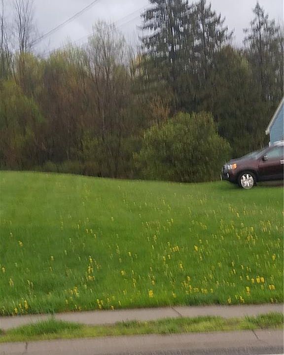 2nd image of 3452 Walworth Rd