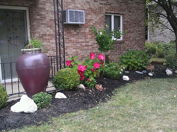 Perennial flowers every year....