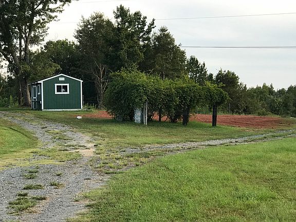 1/4 sheds, Scuppernong vine