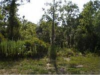 1st image of 5096 N Buffalo Dr