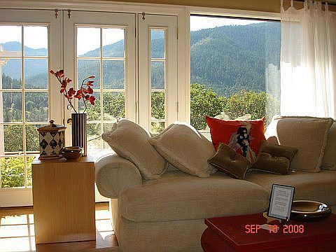 Living room  w/view.