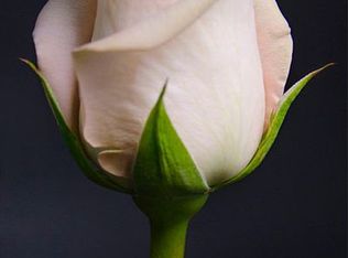 3204 SW 140th St, Oklahoma City, OK 73170