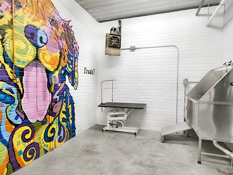 Easily wash up your dog at our wash station.
