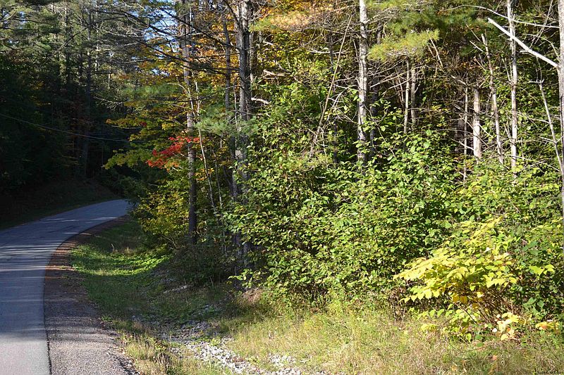 3rd image of L828 HENDRICKS Road