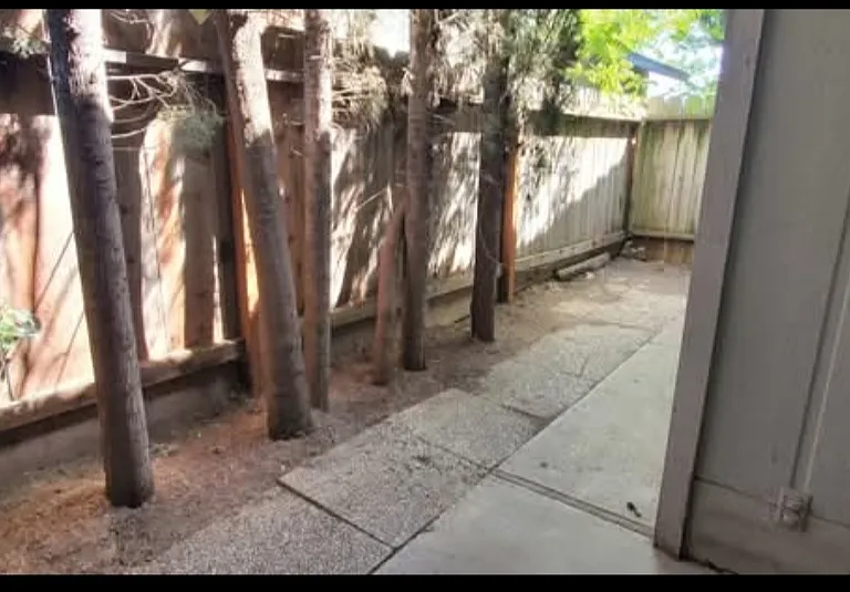 1901 Driftwood Dr #3 — Photo 10