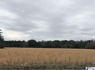 Stagecoach Rd, Effingham, SC 29541