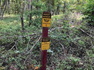 2 Pettyjohn, Mount Airy, GA 30563