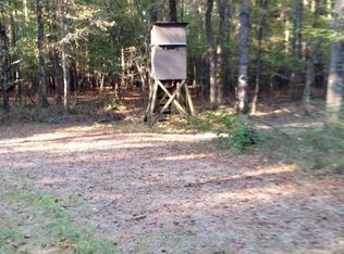 262 County Road 1553, Louin, MS 39338